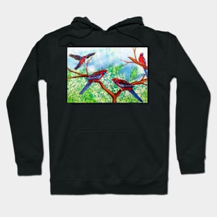 Crimson Rosellas Hoodie